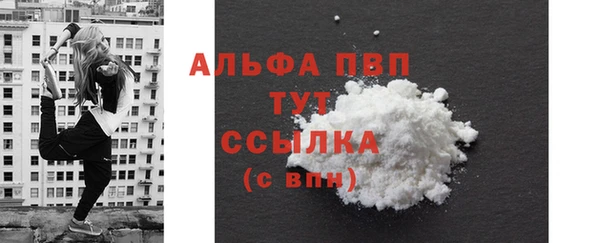 молекула духа Карпинск