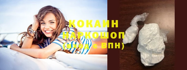 молекула духа Карпинск