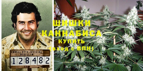 мяу мяу мука Касимов