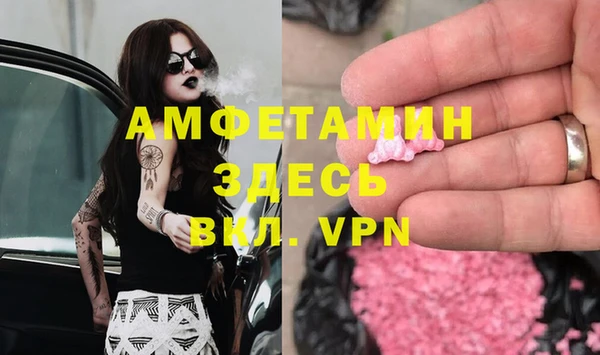 молекула духа Карпинск