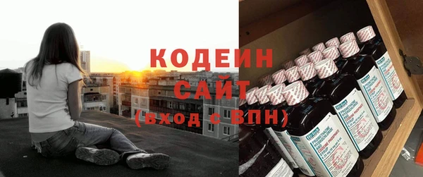 молекула духа Карпинск