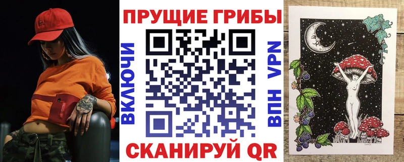 Псилоцибиновые грибы Psilocybine cubensis  Купить где  Котельнич 